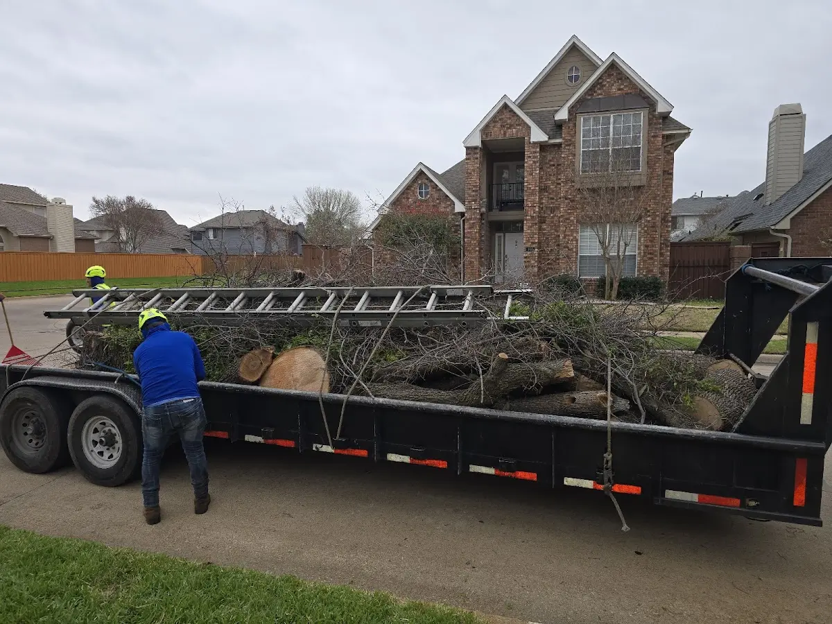 Expert Tree Pest Control with proper safety equipment in Burns
